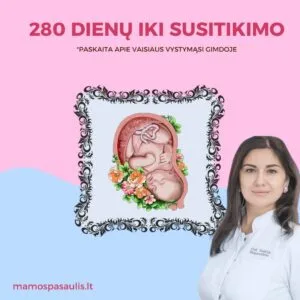 280 dienų iki susitikimo